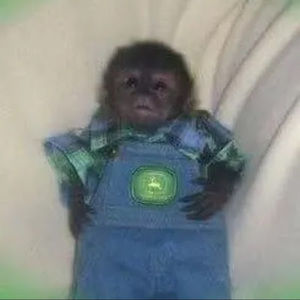 Meet your Posher, Chance